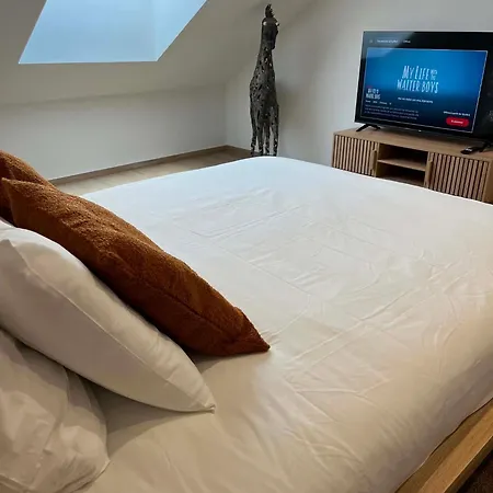 게스트하우스 D'hotes Saint-roch - 4 Personnes *